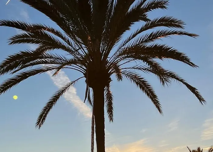 Al Parque Marbella, Cerca De Mar Y Centro De * Marbella