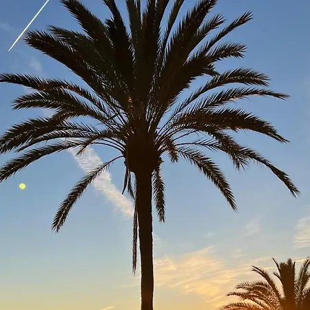 Al Parque Marbella, Cerca De Mar Y Centro De * 마르베야